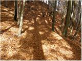 Tržič - Breška planina
